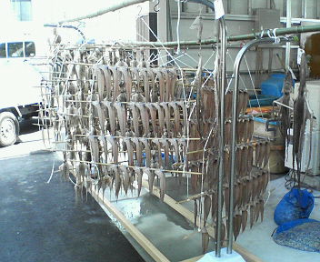 200711251119000.jpg